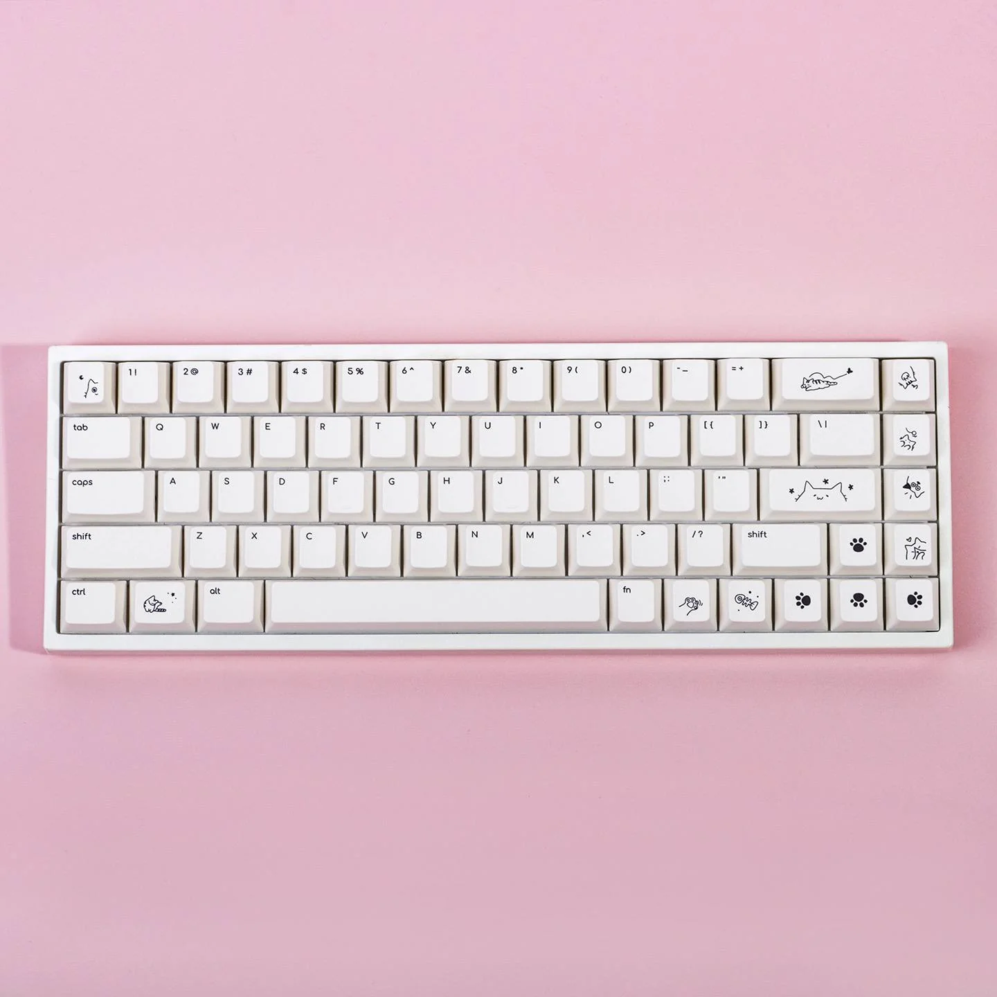 Opening Blowout Sale - Soft Launch